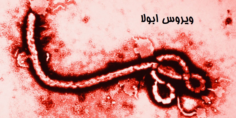 عوامل خطرساز و عوارض جانبی بیماری ویروسی ابولا