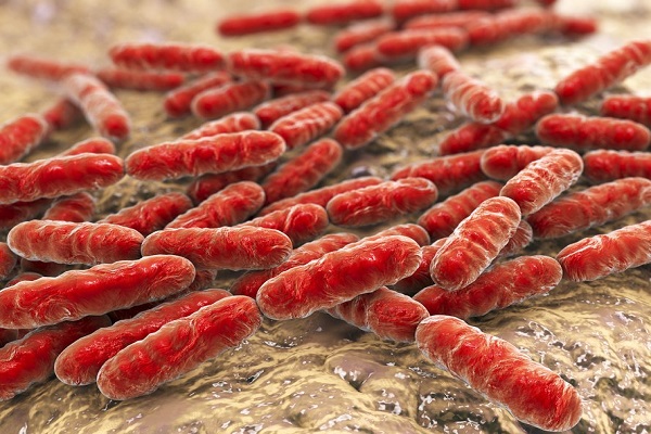 13نقطه باورنکردنی در بدن که محل زندگی باکتری هاهستند